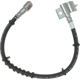 Purchase Top-Quality Front Brake Hose by RAYBESTOS - BH380342 pa13