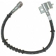 Purchase Top-Quality Front Brake Hose by RAYBESTOS - BH380342 pa2