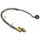 Purchase Top-Quality Front Brake Hose by RAYBESTOS - BH380346 pa1