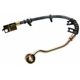 Purchase Top-Quality Front Brake Hose by RAYBESTOS - BH380347 pa1