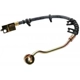 Purchase Top-Quality Front Brake Hose by RAYBESTOS - BH380347 pa5