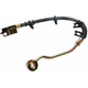 Purchase Top-Quality Front Brake Hose by RAYBESTOS - BH380347 pa6
