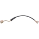 Purchase Top-Quality Front Brake Hose by RAYBESTOS - BH380356 pa4