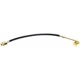 Purchase Top-Quality Front Brake Hose by RAYBESTOS - BH380384 pa2