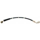 Purchase Top-Quality Front Brake Hose by RAYBESTOS - BH380388 pa2