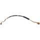 Purchase Top-Quality Front Brake Hose by RAYBESTOS - BH380389 pa14