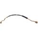 Purchase Top-Quality Front Brake Hose by RAYBESTOS - BH380389 pa4