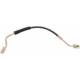 Purchase Top-Quality Front Brake Hose by RAYBESTOS - BH380392 pa1