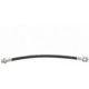 Purchase Top-Quality Front Brake Hose by RAYBESTOS - BH380406 pa8