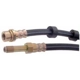 Purchase Top-Quality Front Brake Hose by RAYBESTOS - BH380421 pa1