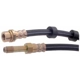 Purchase Top-Quality Front Brake Hose by RAYBESTOS - BH380421 pa10