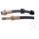 Purchase Top-Quality Front Brake Hose by RAYBESTOS - BH380421 pa5