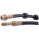 Purchase Top-Quality Front Brake Hose by RAYBESTOS - BH380421 pa9