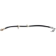 Purchase Top-Quality Front Brake Hose by RAYBESTOS - BH380430 pa4