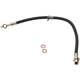 Purchase Top-Quality Front Brake Hose by RAYBESTOS - BH380431 pa1