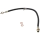 Purchase Top-Quality Front Brake Hose by RAYBESTOS - BH380431 pa2
