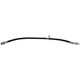 Purchase Top-Quality Front Brake Hose by RAYBESTOS - BH380436 pa12