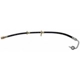 Purchase Top-Quality Front Brake Hose by RAYBESTOS - BH380443 pa8