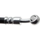 Purchase Top-Quality Front Brake Hose by RAYBESTOS - BH380489 pa4