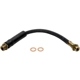 Purchase Top-Quality Front Brake Hose by RAYBESTOS - BH380505 pa1