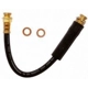 Purchase Top-Quality Front Brake Hose by RAYBESTOS - BH380505 pa6