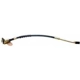 Purchase Top-Quality Front Brake Hose by RAYBESTOS - BH380532 pa2