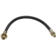 Purchase Top-Quality Front Brake Hose by RAYBESTOS - BH380536 pa2
