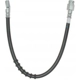 Purchase Top-Quality Front Brake Hose by RAYBESTOS - BH380747 pa10