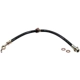 Purchase Top-Quality Front Brake Hose by RAYBESTOS - BH380901 pa2