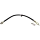 Purchase Top-Quality Front Brake Hose by RAYBESTOS - BH380902 pa1
