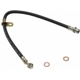 Purchase Top-Quality Front Brake Hose by RAYBESTOS - BH380923 pa13