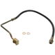 Purchase Top-Quality Front Brake Hose by RAYBESTOS - BH380934 pa2