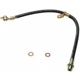 Purchase Top-Quality Front Brake Hose by RAYBESTOS - BH380954 pa4
