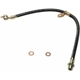 Purchase Top-Quality Front Brake Hose by RAYBESTOS - BH380954 pa9