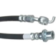 Purchase Top-Quality Front Brake Hose by RAYBESTOS - BH380961 pa1