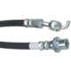 Purchase Top-Quality Front Brake Hose by RAYBESTOS - BH380961 pa13