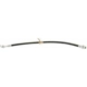 Purchase Top-Quality Front Brake Hose by RAYBESTOS - BH380968 pa1