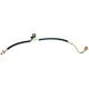 Purchase Top-Quality RAYBESTOS - BH381033 - Front Brake Hose pa7