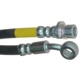 Purchase Top-Quality Front Brake Hose by RAYBESTOS - BH381047 pa1