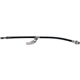Purchase Top-Quality Front Brake Hose by RAYBESTOS - BH381048 pa13