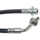 Purchase Top-Quality Front Brake Hose by RAYBESTOS - BH381121 pa1