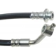 Purchase Top-Quality Front Brake Hose by RAYBESTOS - BH381121 pa10