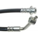 Purchase Top-Quality Front Brake Hose by RAYBESTOS - BH381121 pa12