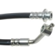 Purchase Top-Quality Front Brake Hose by RAYBESTOS - BH381121 pa13