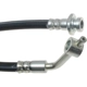 Purchase Top-Quality Front Brake Hose by RAYBESTOS - BH381121 pa3