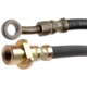 Purchase Top-Quality Front Brake Hose by RAYBESTOS - BH381140 pa1