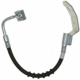 Purchase Top-Quality Front Brake Hose by RAYBESTOS - BH381144 pa2