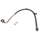 Purchase Top-Quality Front Brake Hose by RAYBESTOS - BH381146 pa5