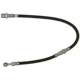 Purchase Top-Quality Front Brake Hose by RAYBESTOS - BH381148 pa12