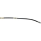 Purchase Top-Quality Front Brake Hose by RAYBESTOS - BH381148 pa13